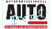 Auto Professioneel 2015 – Review